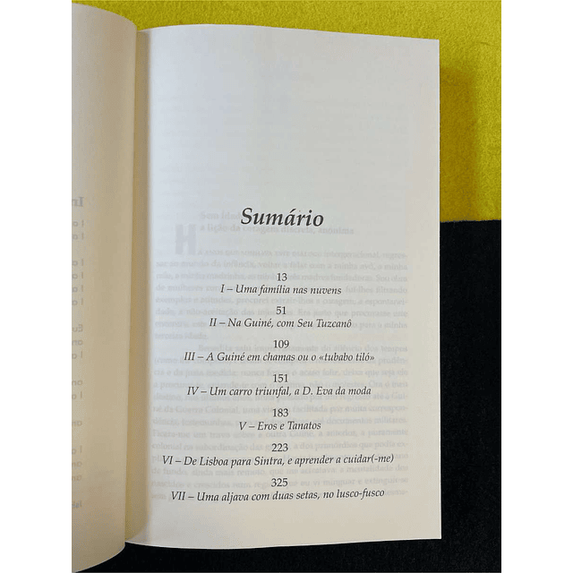 Mário Beja Santos - Mulher grande: Narrativa de uma heroína anónima com estranhas incidências afectivas