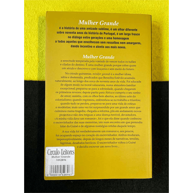 Mário Beja Santos - Mulher grande: Narrativa de uma heroína anónima com estranhas incidências afectivas
