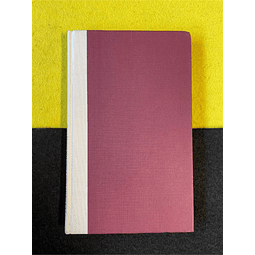 José Riço Direitinho - Breviário das más inclinações