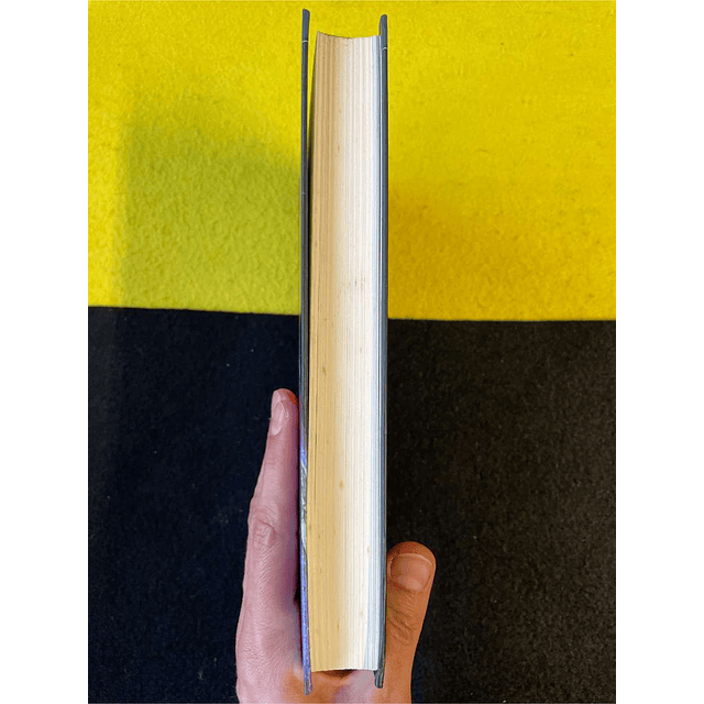 Maurice Druon - Os reis malditos: A loba de França