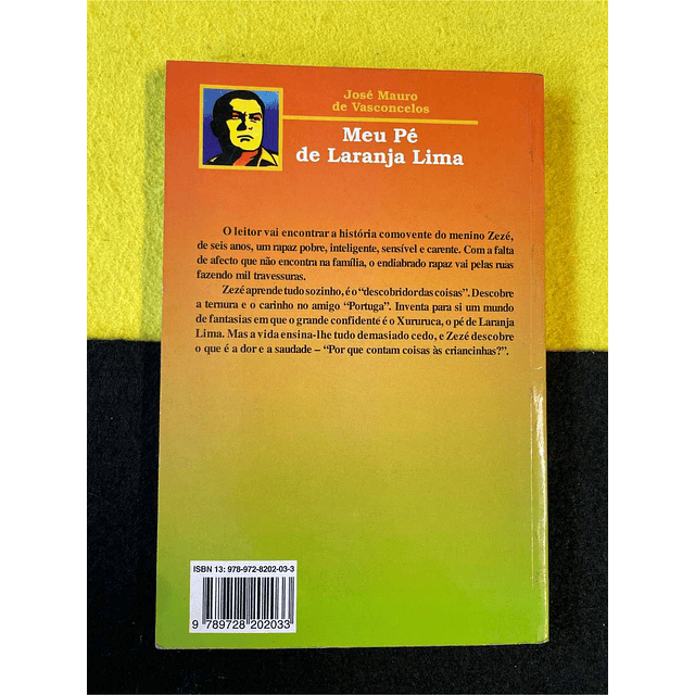José Mauro de Vasconcelos - Meu pé de laranja lima 