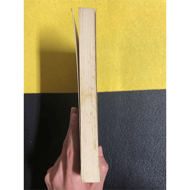 Antoine Audouard - Adeus, minha única: Uma história de amor que atravessou os séculos: a de Heloísa e Abelardo