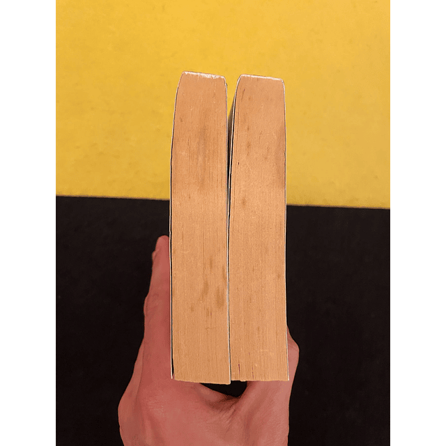 George R. R. Martin - A Dança dos dragões, 2 Volumes 