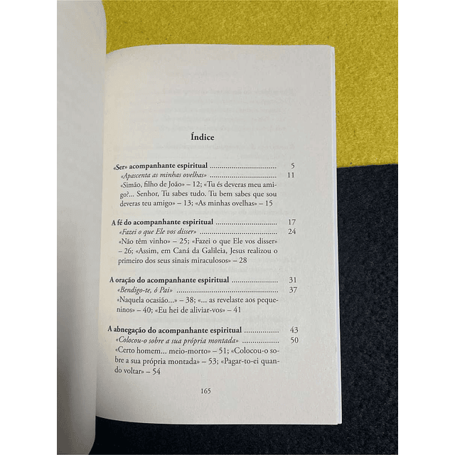 Darío Mollá Llácer, SJ - O acompanhante espiritual: Uma espiritualidade para o encontro