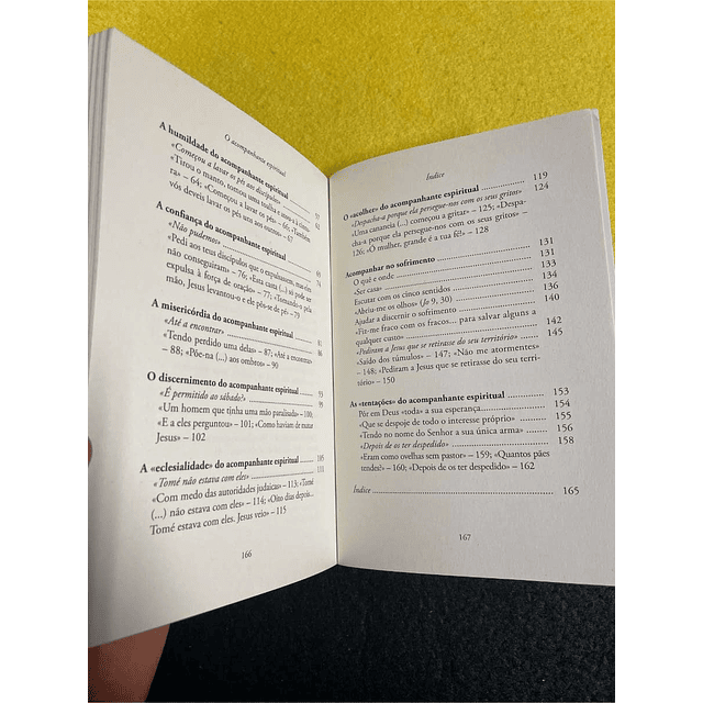 Darío Mollá Llácer, SJ - O acompanhante espiritual: Uma espiritualidade para o encontro