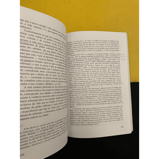 Giorgio Agamben - O Poder soberano e a vida nua. Homo Sacer