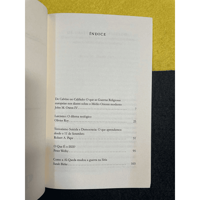 Sarah Birke - Islão-Guerras sem fim