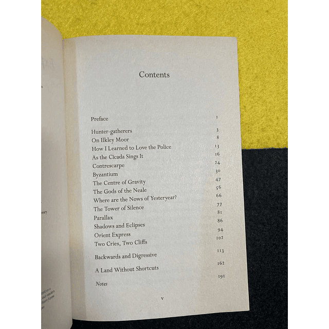 Tim Robinson - Experiments on reality