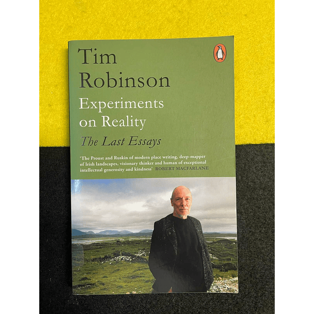 Tim Robinson - Experiments on reality