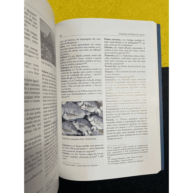 J. M. Soares de Barcelos - Dicionário de falares dos Açores