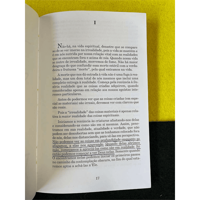 Thomas Merton - Na liberdade da solidão