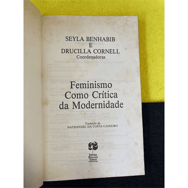 Seyla Benhabib, Drucilla Cornell - Feminismo como crítica da modernidade