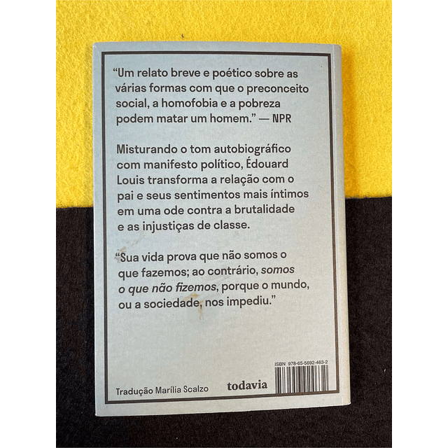 Édouard Louis - Quem matou meu pai