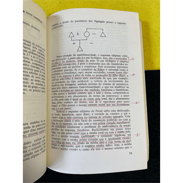 Mesquitela Lima - Antropologia do simbólico (ou o Simbólico da Antropologia)