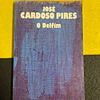 José Cardoso Pires - O delfim