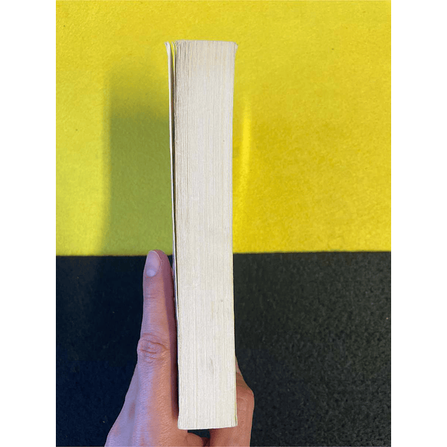 Camila Lackberg - Gritos do passado. LIVRO DE BOLSO