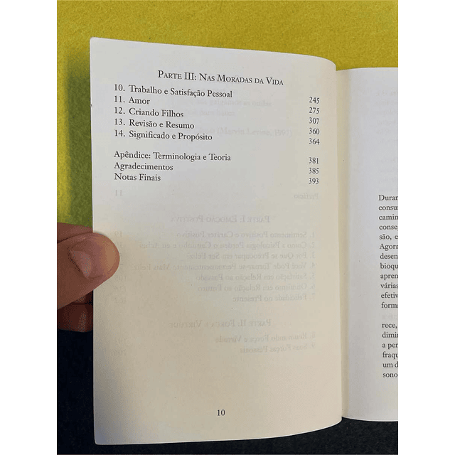 Martin E. P. Seligman - Felicidade autêntica: Usando a psicologia positiva para a realização permanente. LIVRO DE BOLSO