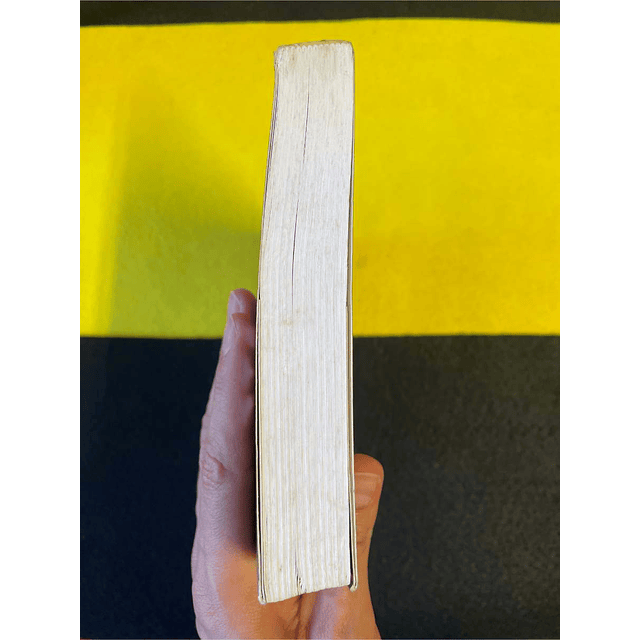 Stephen King - A torre negra: A escolha dos três. Volume II