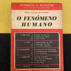 Pierre Teilhard de Chardin - O fenómeno humano