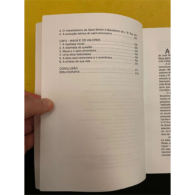 José Maurício de Carvalho - Mauá e a ética saint-simoniana