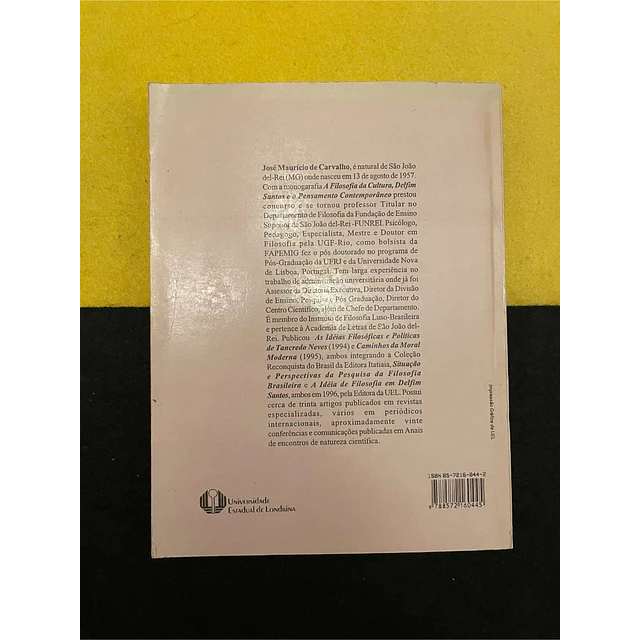 José Maurício de Carvalho - Mauá e a ética saint-simoniana