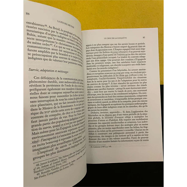 Serge Gruzinski - La pensée métisse