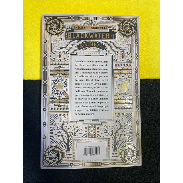 Michael Mcdowell - Blackwater: A cheia. Volume 1