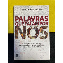 Pedro Braga Falcão - Palavras que falam por nós
