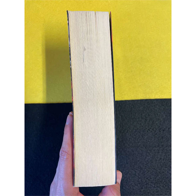 Tim Willocks - Oito lanças contra Solimão