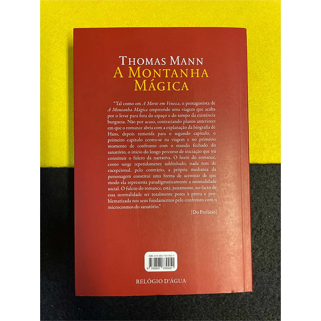 Thomas Mann - A montanha mágica