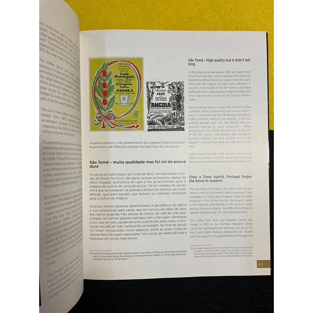 Portuguese Coffee: A Blend of stories