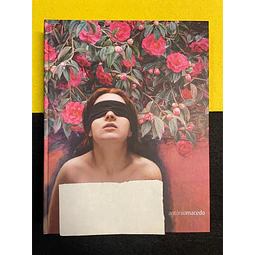 Cordeiros | Galeria - António Macedo