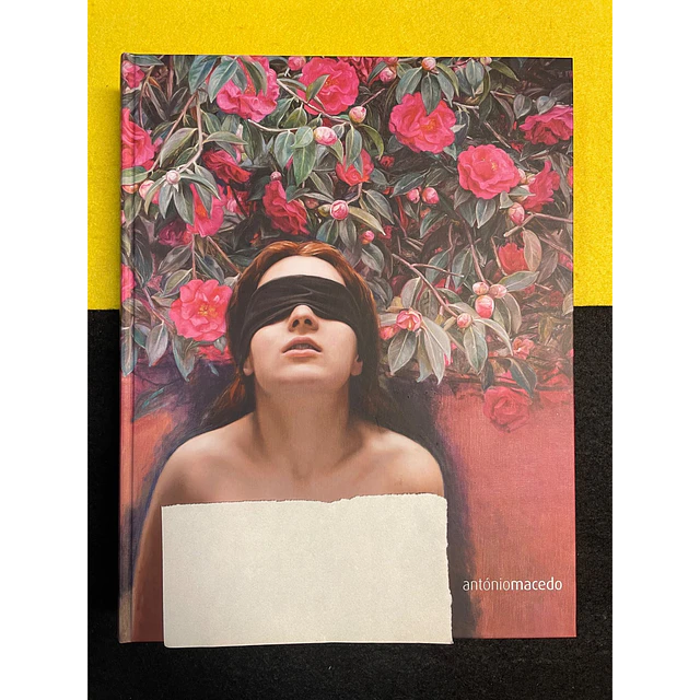 Cordeiros | Galeria - António Macedo