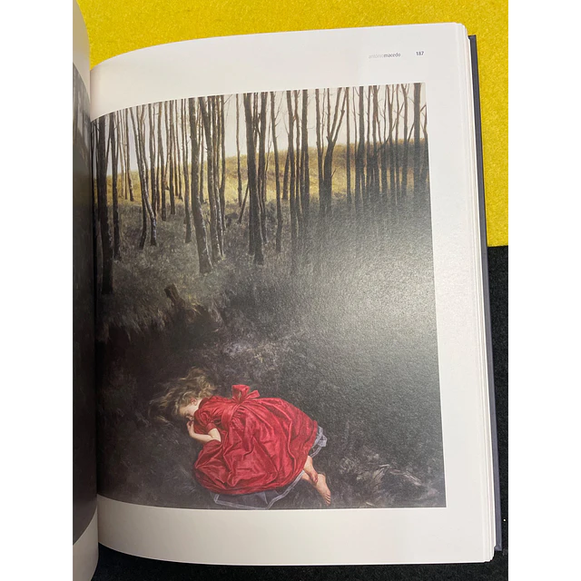 Cordeiros | Galeria - António Macedo