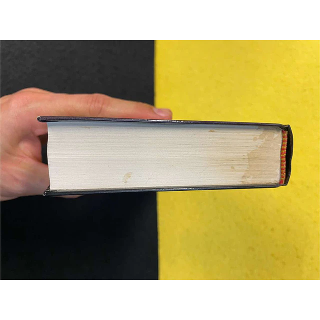 Stephen King - Saco de ossos