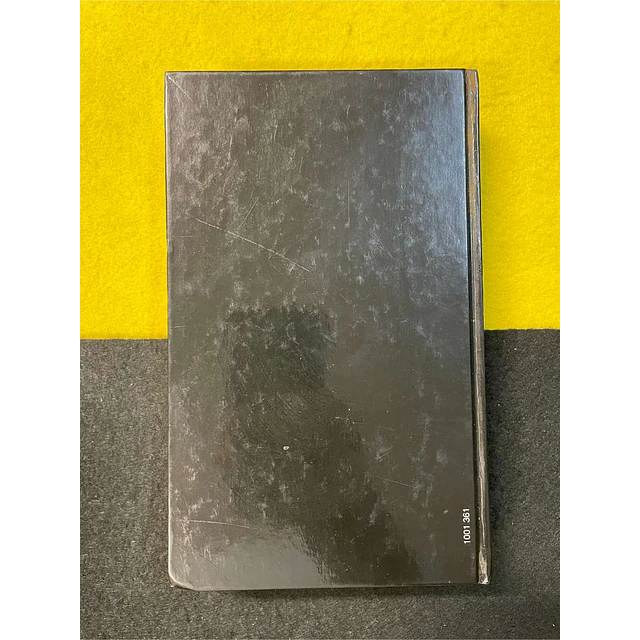 Stephen King - Saco de ossos