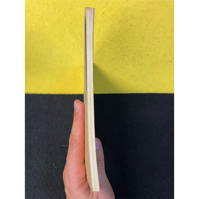 António Ramos Rosa - Volante verde