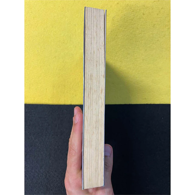 Margaret George - A paixão de Maria Madalena: A mulher que amou Jesus. Volume 2