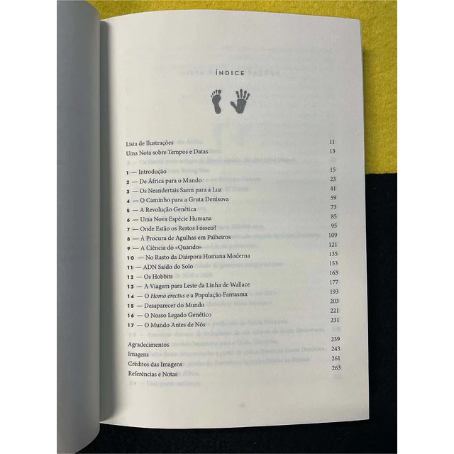 Tom Higham - O mundo antes de nós