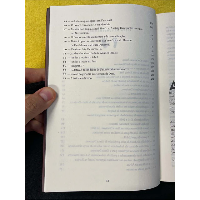 Tom Higham - O mundo antes de nós