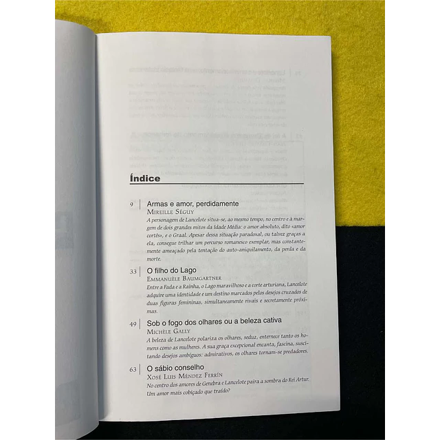 Mireille Séguy - Lancelote