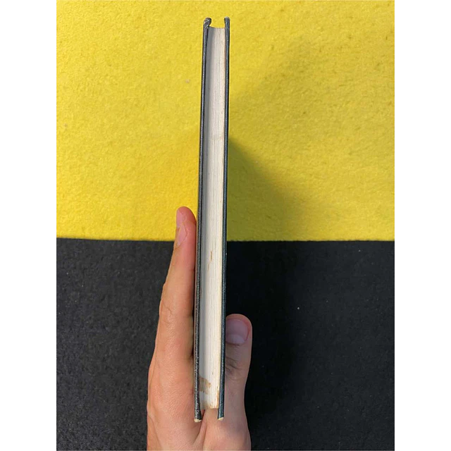 Raymond A. Moddy JR. - Vida depois da vida