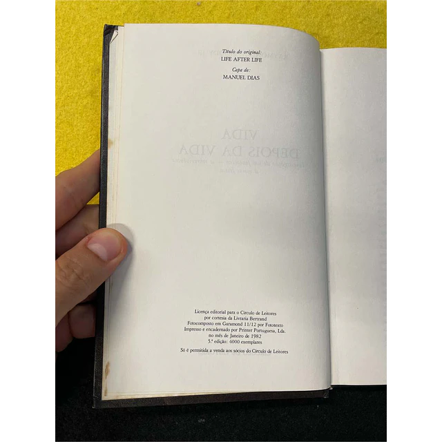 Raymond A. Moddy JR. - Vida depois da vida