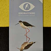 Birdwatching: Baixo guadiana - Algarve. LIVRO DE BOLSO
