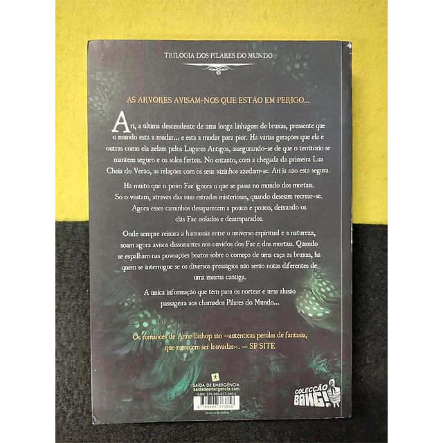 Anne Bishop - Os pílares do mundo