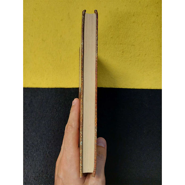 José Cardoso Pires - O delfim. Nº 21