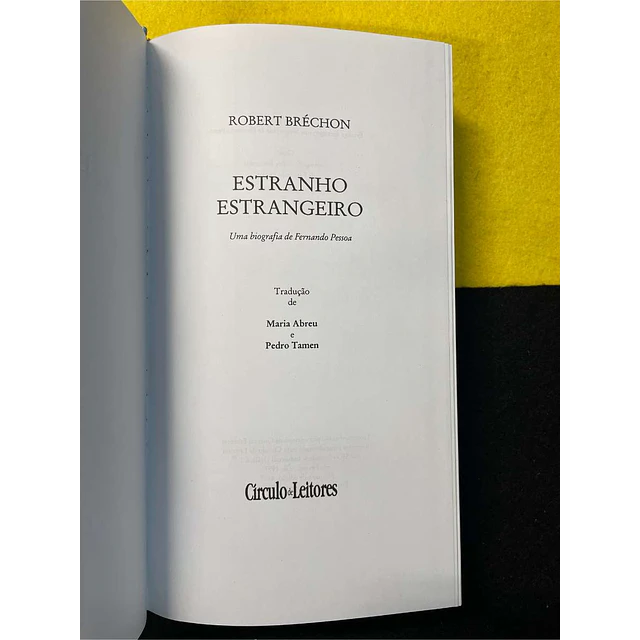 Robert Bréchon - Estranho estrangeiro: Uma biografia de Fernando Pessoa