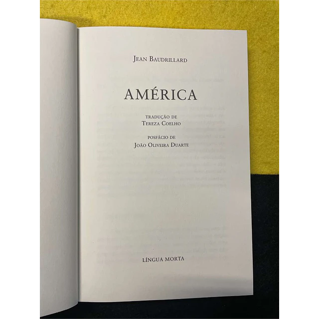 Jean Baudrillard - América