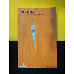 Nuno Júdice - O anjo da tempestade