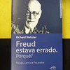 Richard Webster - Freud estava errado. Porquê? Pecado, ciência e psicanálise